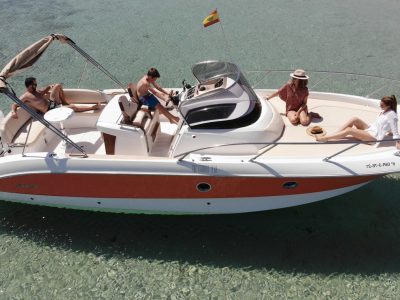 Pantera Rosa10
